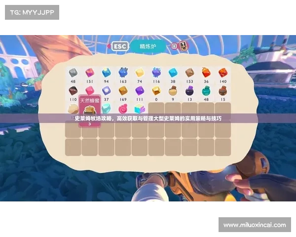 如何通过合理策略与资源管理有效提升城堡争霸游戏胜率 如何通过合理策略与资源管理有效提升城堡争霸游戏胜率