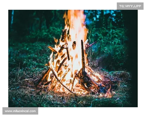 《暗影圣域》探索必备五大技巧 带你揭开神秘世界的奥秘 《暗影圣域》探索必备五大技巧 带你揭开神秘世界的奥秘