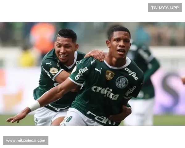 巴西超级杯帕尔梅拉斯防守战术解析及其对比赛胜负的关键影响